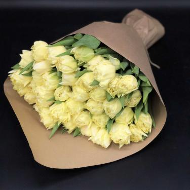 Кремовые пионовидные тюльпаны 51 шт