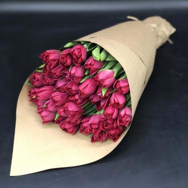 Красные пионовидные тюльпаны 51 шт