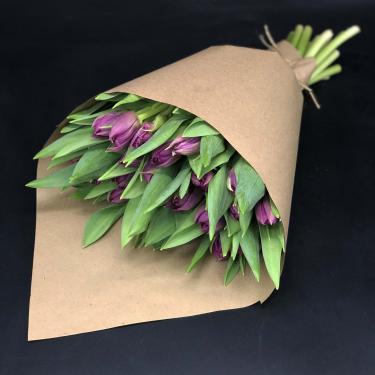 Фиолетовые пионовидные тюльпаны 25 шт