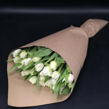 Белые пионовидные тюльпаны 25 шт