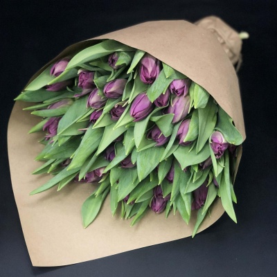 Фиолетовые пионовидные тюльпаны 51 шт